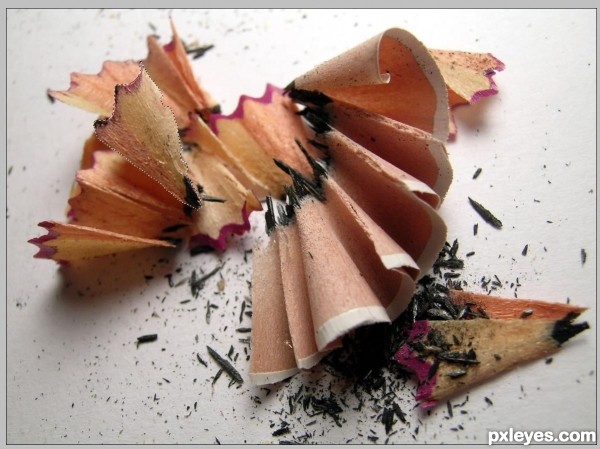 Creation of Butterfly: Step 1